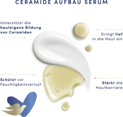 DOVE Body Love One Cream Regenerierende Pflege -Hautpflegeprodukte MAM 8530457 SHOP IMAGE 1.4